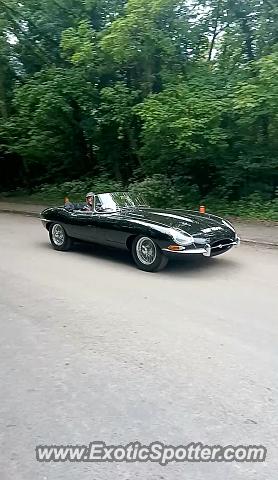 Jaguar E-Type spotted in Spital, United Kingdom