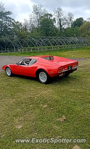 DeTomaso Pantera2 spotted in Spital, United Kingdom
