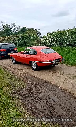 Jaguar E-Type spotted in Spital, United Kingdom