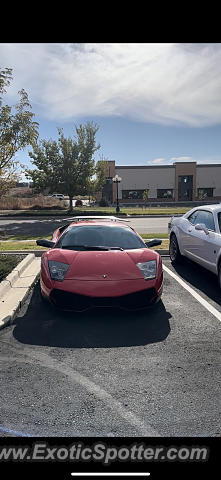 Lamborghini Murcielago spotted in Denver, Colorado
