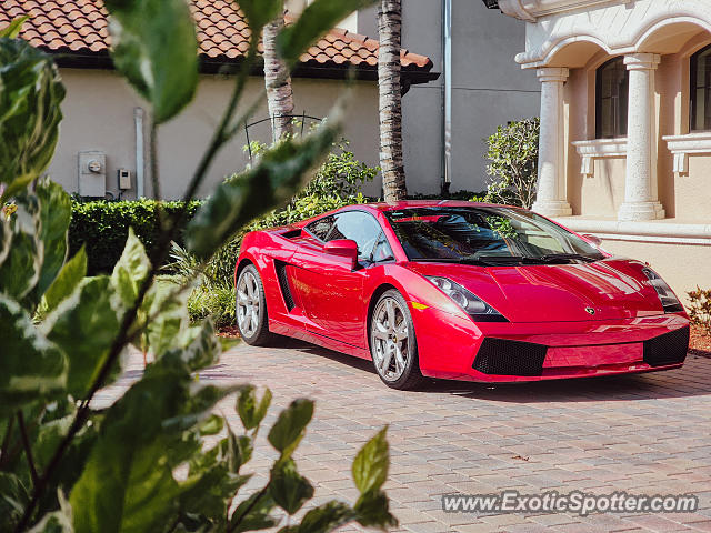 Lamborghini Gallardo spotted in Naples, Florida