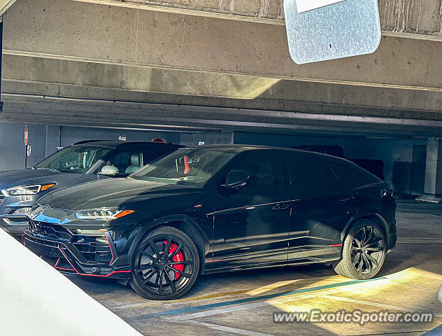 Lamborghini Urus spotted in Jacksonville, Florida