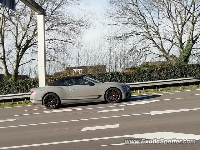 Bentley Continental spotted in Papendrecht, Netherlands