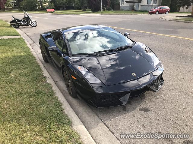 Lamborghini Gallardo spotted in Calgary, Canada