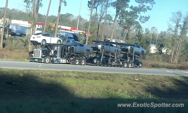 Other Other spotted in Jacksonville, Florida