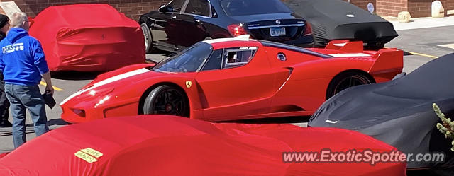 Ferrari Enzo spotted in Champaign, Illinois