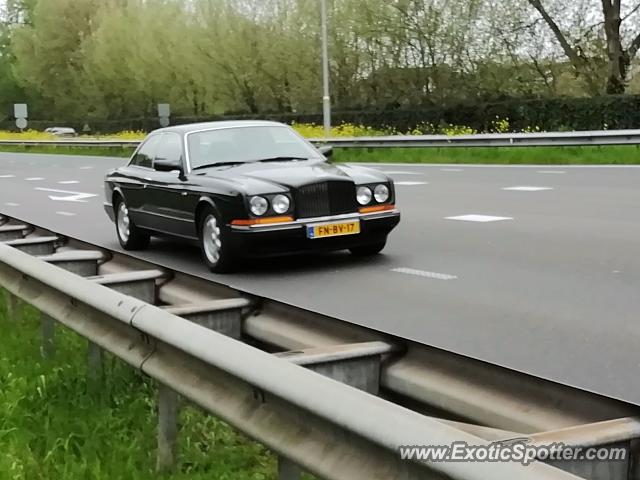 Bentley Continental spotted in Papendrecht, Netherlands