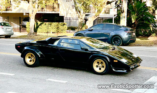 Lamborghini Countach spotted in St. Petersburg, Florida