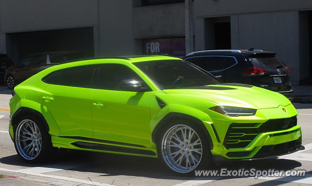 Lamborghini Urus spotted in Miami, Florida
