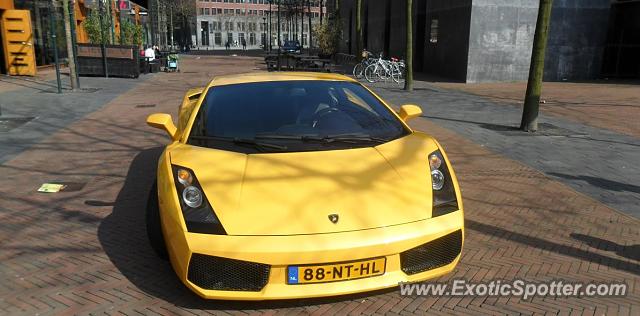 Lamborghini Gallardo spotted in Rotterdam, Netherlands