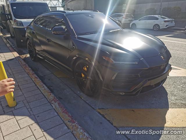 Lamborghini Urus spotted in Miami, Florida