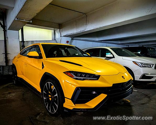 Lamborghini Urus spotted in New York, New York