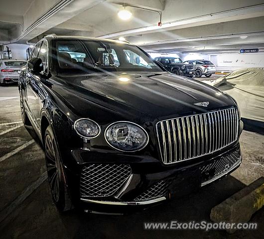 Bentley Bentayga spotted in New York, New York