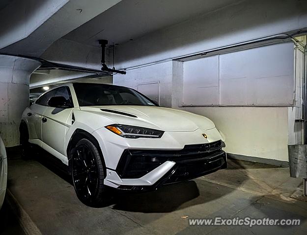 Lamborghini Urus spotted in New York, New York
