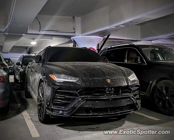 Lamborghini Urus spotted in New York, New York