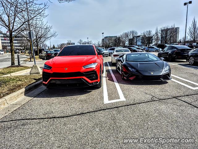 Lamborghini Huracan spotted in Birmingham, Michigan