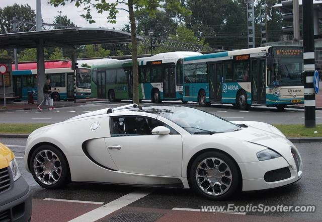 Bugatti Veyron spotted in Dordrecht, Netherlands