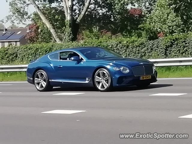 Bentley Continental spotted in Papendrecht, Netherlands
