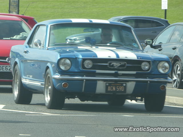 Other Vintage spotted in Tynemouth, United Kingdom