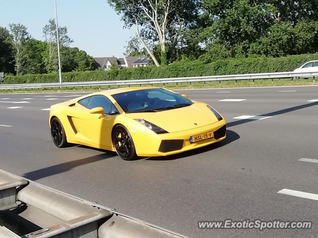 Lamborghini Gallardo spotted in Papendrecht, Netherlands