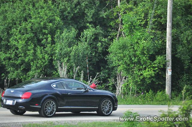 Bentley Continental spotted in Brookfield, Wisconsin