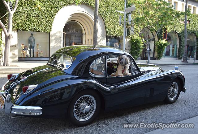 Other Vintage spotted in Beverly Hills, California