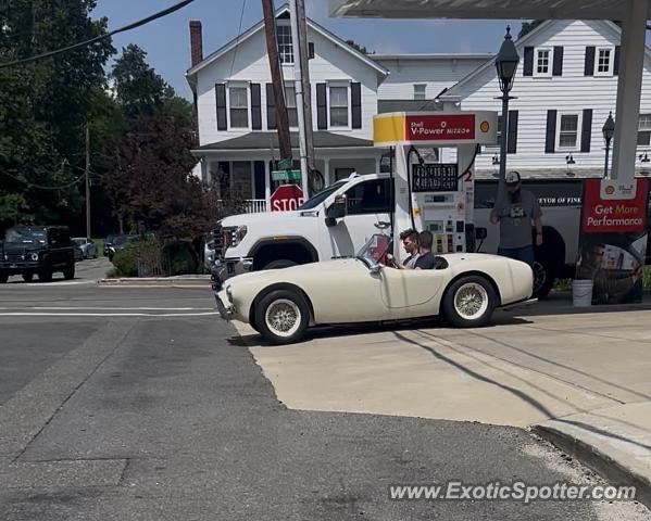 Ford Shelby GR1 spotted in Stockton, New Jersey