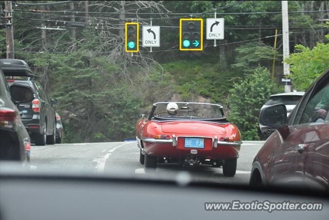 Jaguar E-Type spotted in Bar Harbor, Maine