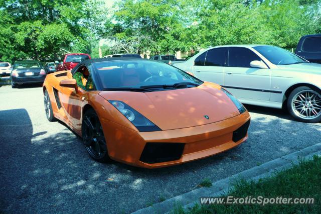 Lamborghini Gallardo spotted in Mount Pleasant, South Carolina