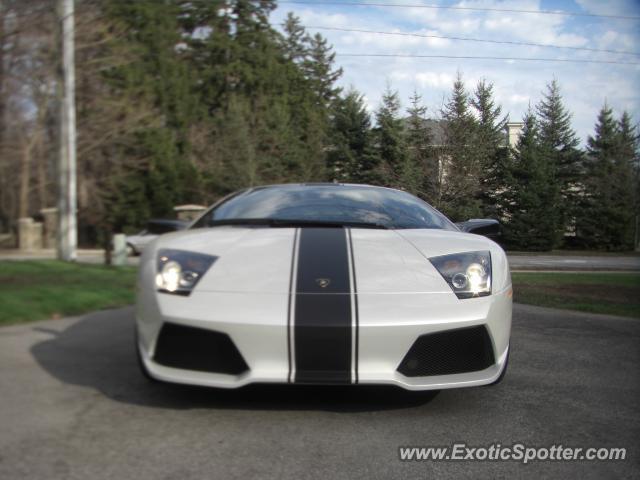Lamborghini Murcielago spotted in Oakville, Canada