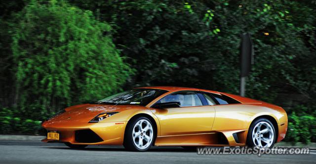 Lamborghini Murcielago spotted in Greenwich, Connecticut