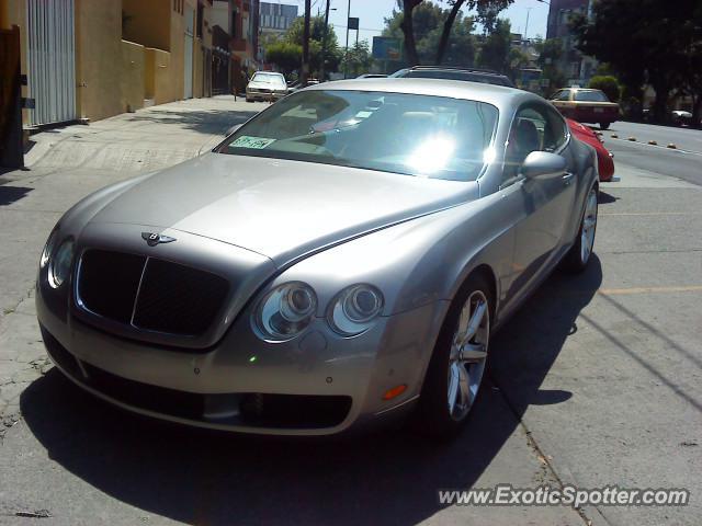Bentley Continental spotted in Mexico, Mexico