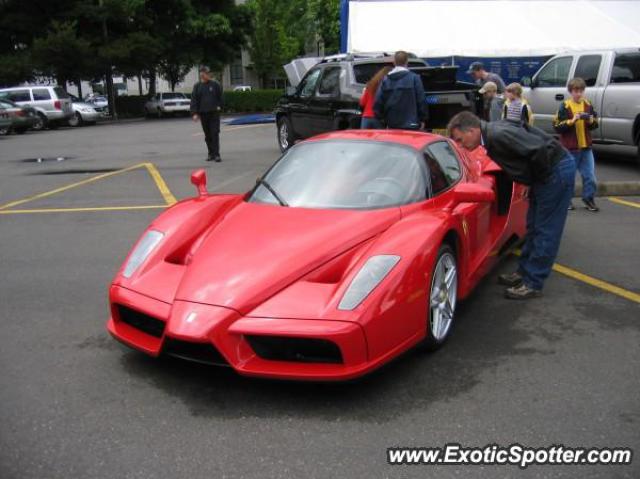 Ferrari Enzo spotted in Portland, Alabama