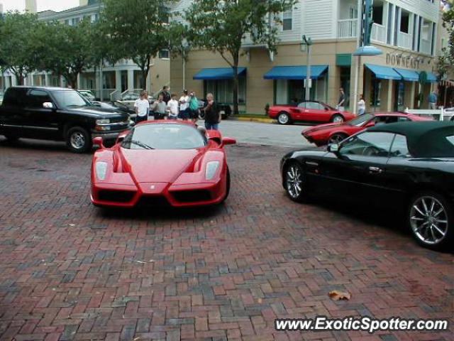 Ferrari Enzo spotted in Orlando, Florida