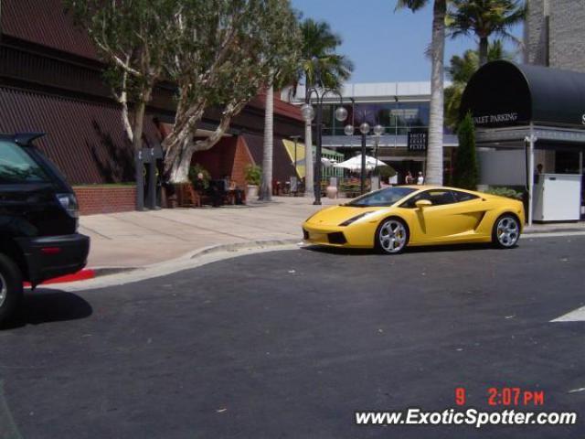 Lamborghini Gallardo spotted in Costa Mesa, California