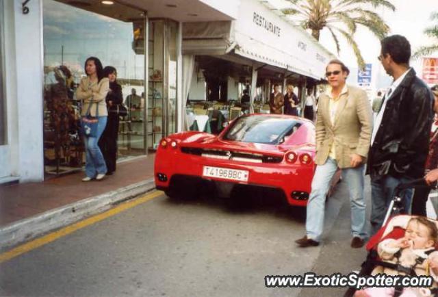 Ferrari Enzo spotted in Puerto banus, Spain