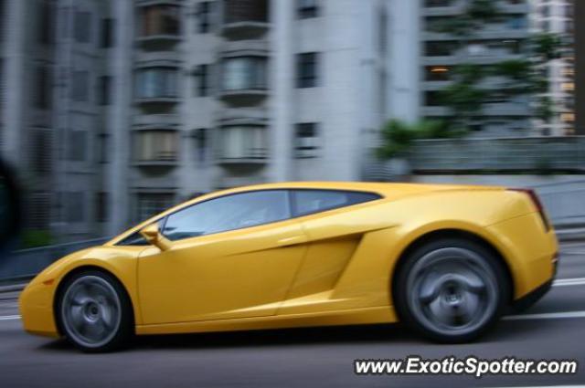 Lamborghini Gallardo spotted in Hong kong, China