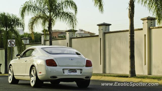 Bentley Continental spotted in Guadalajara, Mexico