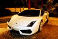 Lamborghini Gallardo