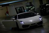 Lamborghini Gallardo