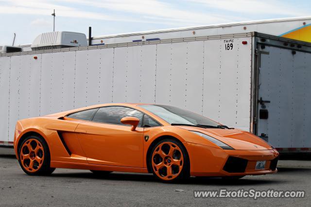Lamborghini Gallardo spotted in East Nassau, New York