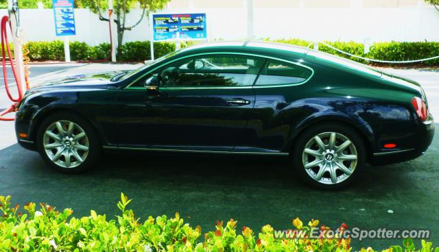 Bentley Continental spotted in Boca Raton, Florida