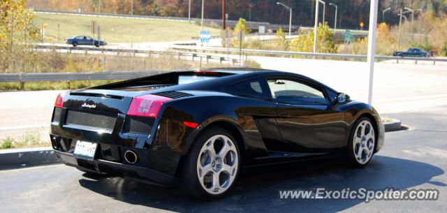 Lamborghini Gallardo spotted in Slade, Kentucky