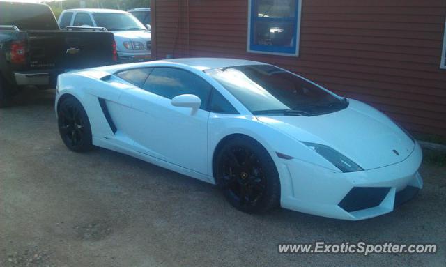 Lamborghini Gallardo spotted in Pelican Rapids, Minnesota