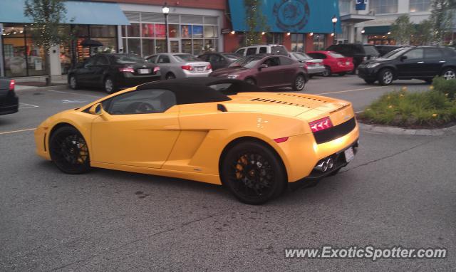 Lamborghini Gallardo spotted in Dedham, Massachusetts