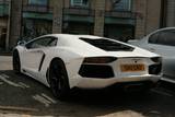 Lamborghini Aventador