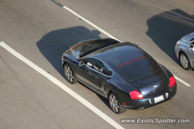 Bentley Continental spotted in Los Angeles, California