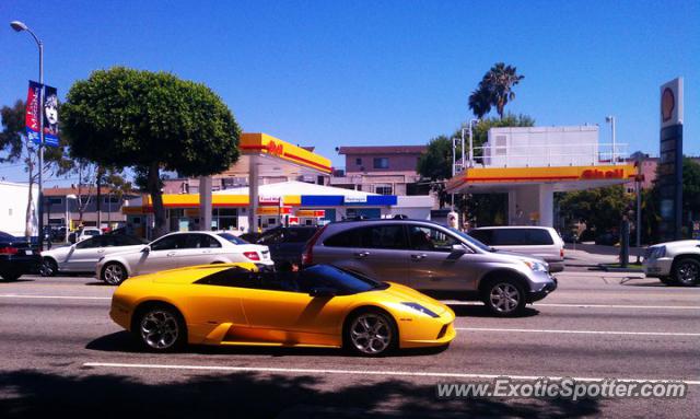 Lamborghini Murcielago spotted in Los Angeles, United States