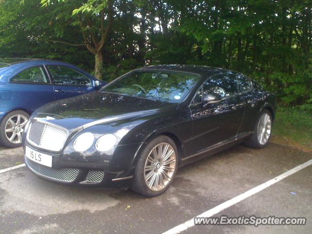 Bentley Continental spotted in Cardiff, United Kingdom