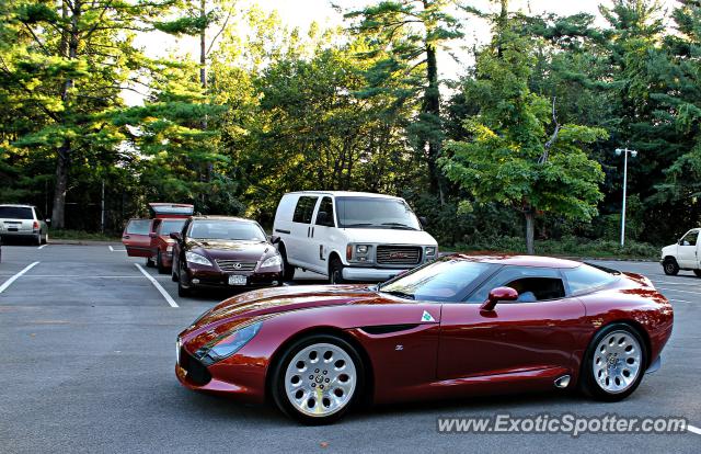 Alfa Romeo TZ3 Stradale spotted in Saratoga Springs, New York